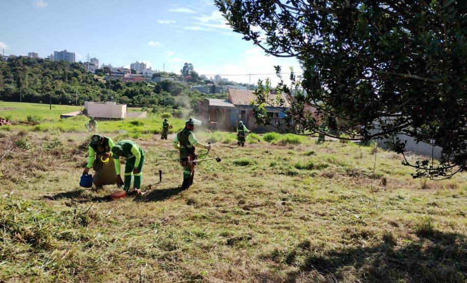 Ações do Dia D da dengue acontecem em todo o Paraná neste sábado