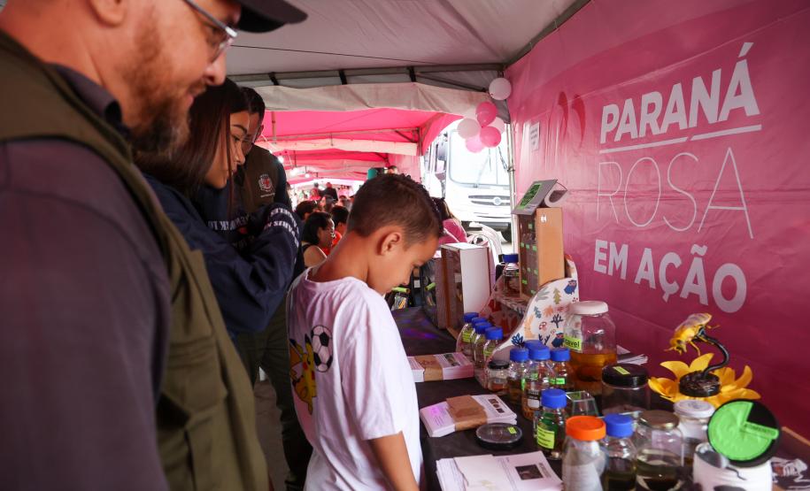 Paraná Rosa em Ação realizou 8.394 atendimentos em Londrina