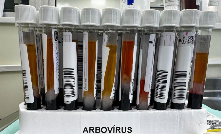 Diferentes métodos e tecnologia: saiba como são confirmados os casos de dengue no Paraná