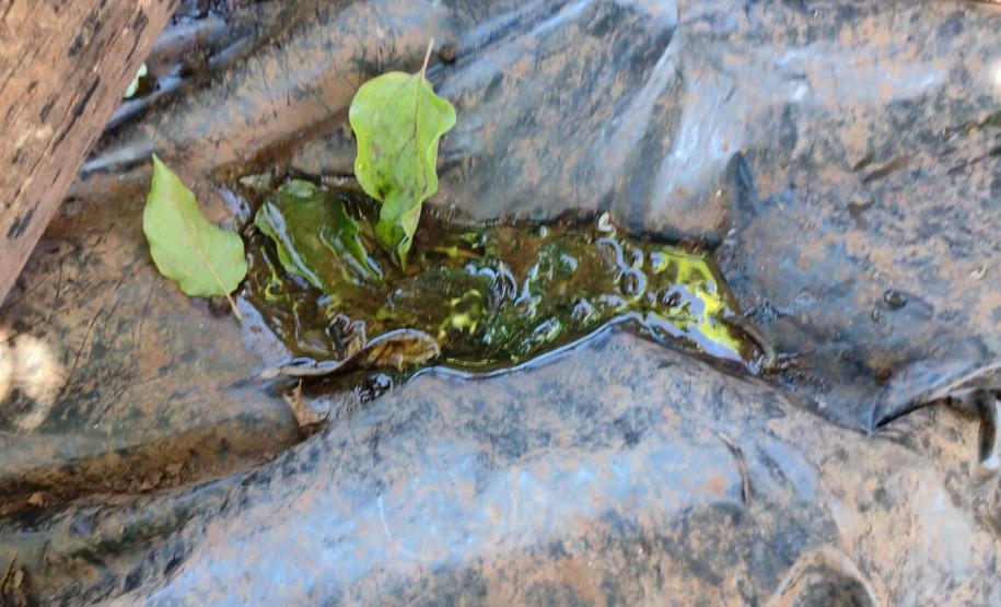 Com apoio das Regionais de Saúde, municípios realizam mutirão de combate à dengue