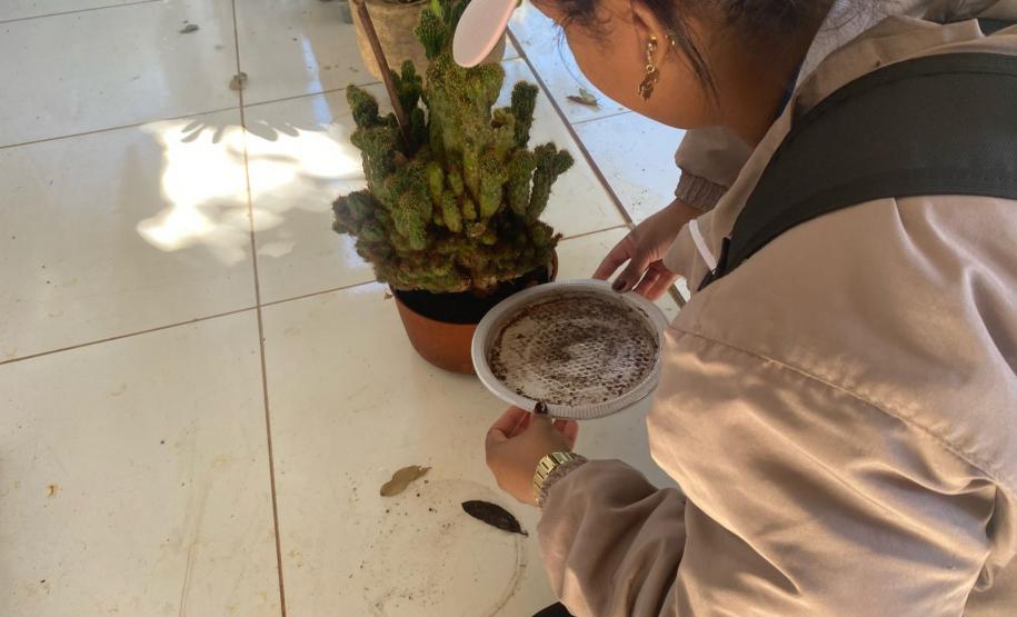 Com apoio das Regionais de Saúde, municípios realizam mutirão de combate à dengue