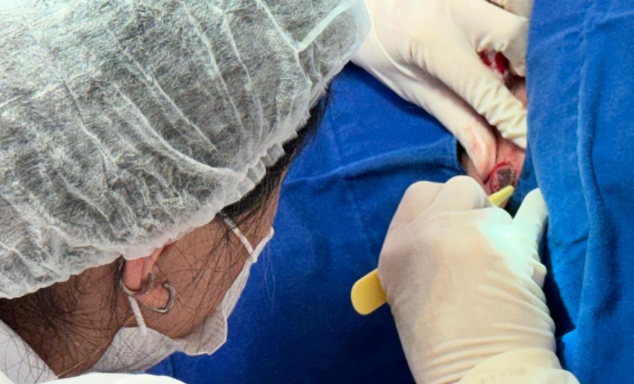 Hospitais concluem mutirão para diagnóstico de câncer de pele na população do Litoral