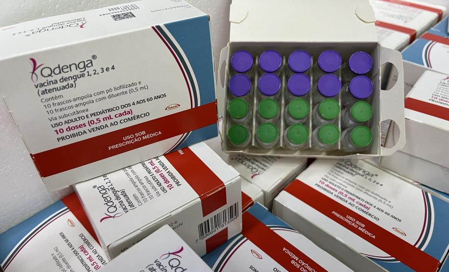 Paraná recebe 6.724 imunizantes contra a dengue para a região de Apucarana