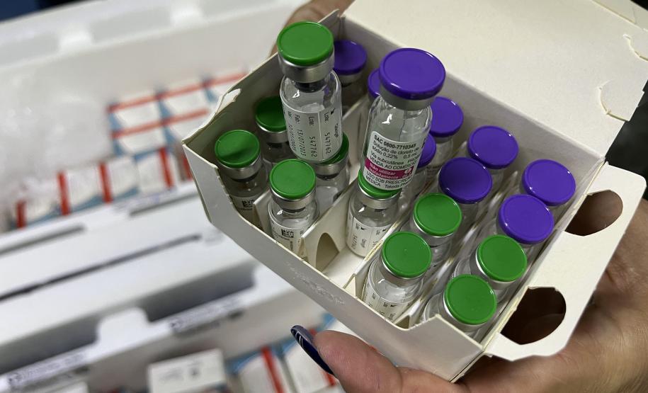 Paraná recebe 6.724 imunizantes contra a dengue para a região de Apucarana