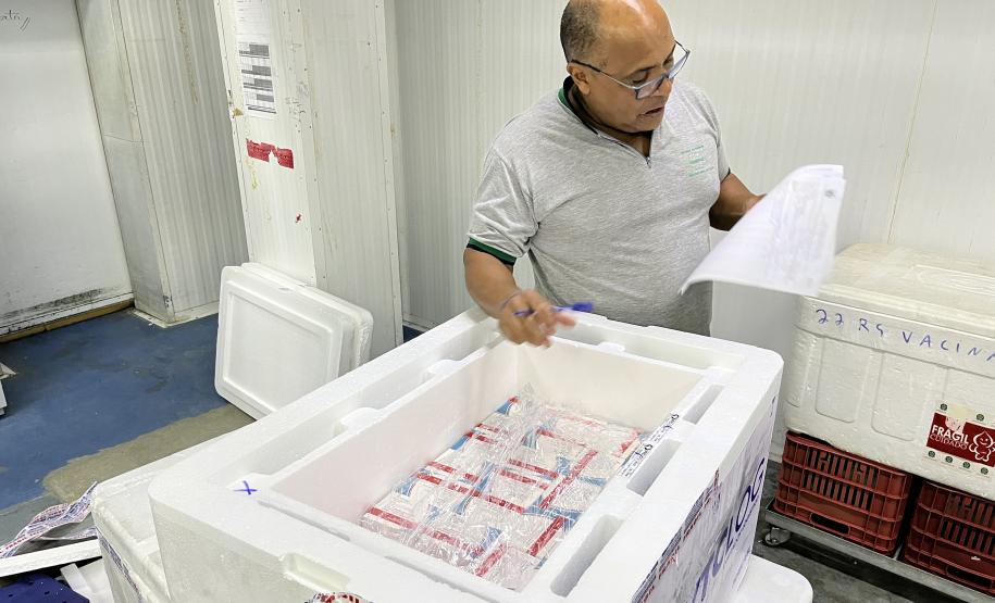 Paraná recebe 6.724 imunizantes contra a dengue para a região de Apucarana