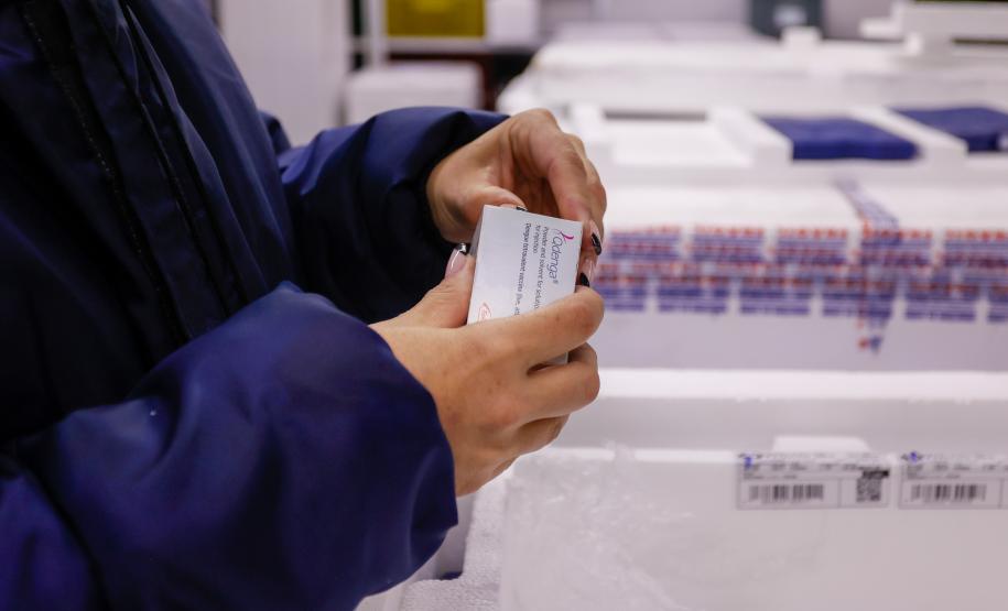 Paraná recebe novo lote de vacinas contra dengue para sete Regionais de Saúde