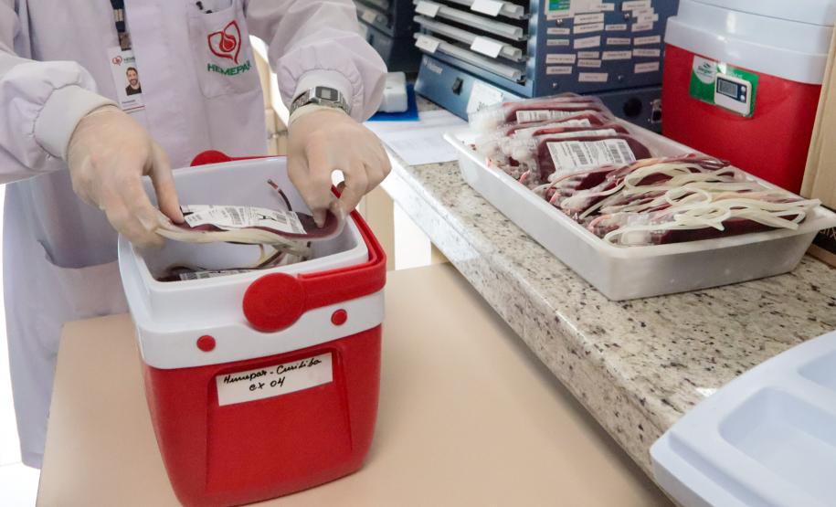 Paraná envia bolsas de sangue e plaquetas para o Rio Grande do Sul
