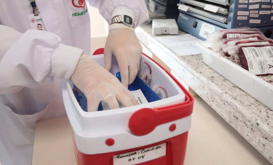 Paraná envia bolsas de sangue e plaquetas para o Rio Grande do Sul