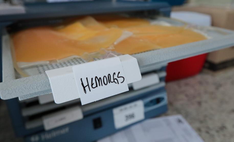 Paraná envia bolsas de sangue e plaquetas para o Rio Grande do Sul