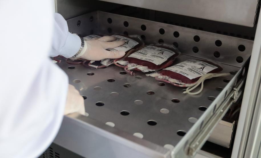Paraná envia bolsas de sangue e plaquetas para o Rio Grande do Sul