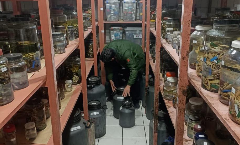 Saúde monitora serpentes no Estado e garante soro que neutraliza ação do veneno