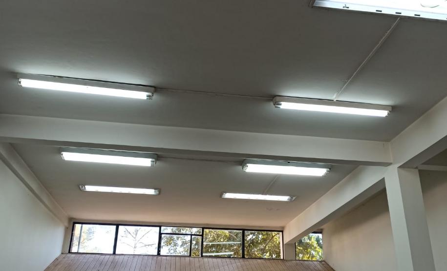 Biofábrica Wolbachia: Londrina e Foz do Iguaçu terão nova tecnologia de combate à dengue