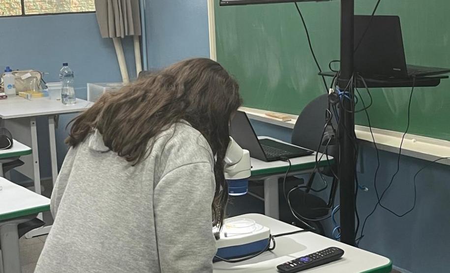 Biofábrica Wolbachia: Londrina e Foz do Iguaçu terão nova tecnologia de combate à dengue