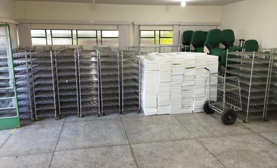 Biofábrica Wolbachia: Londrina e Foz do Iguaçu terão nova tecnologia de combate à dengue