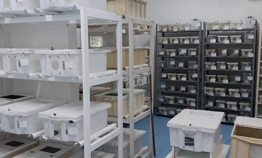 Saúde monitora serpentes no Estado e garante soro que neutraliza ação do veneno