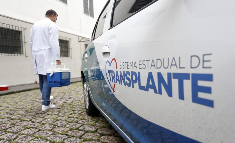 TRANSPLANTES - GERAL