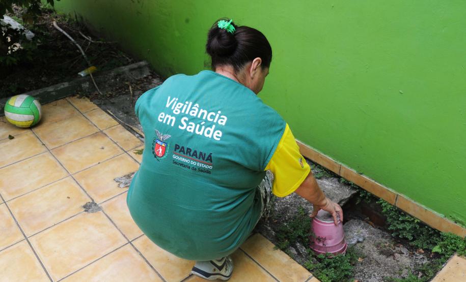 Estado investe R$ 100 milhões em vigilância em saúde e combate à dengue no semestre