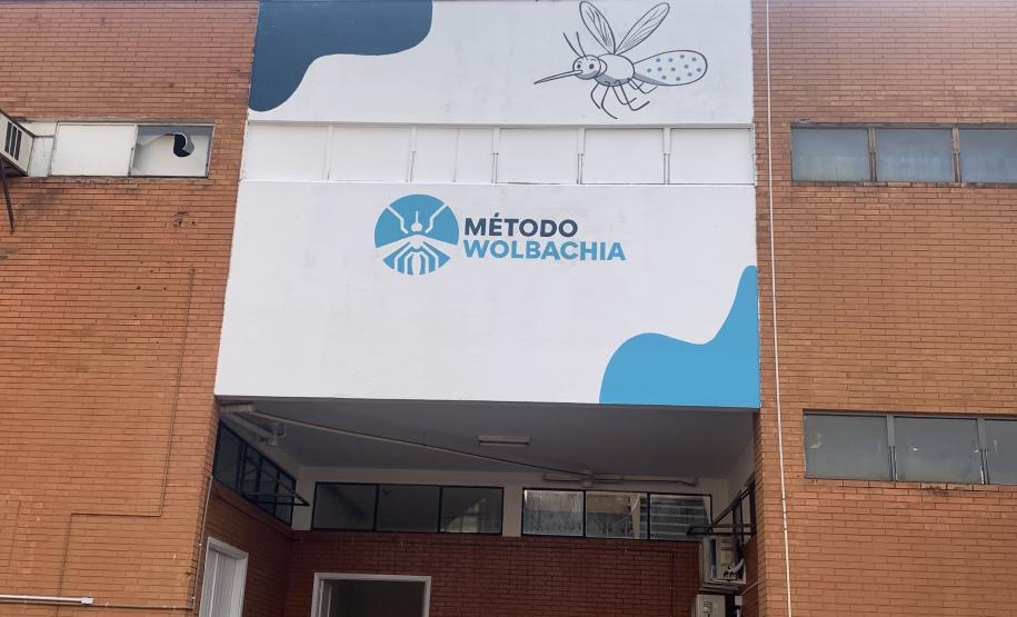 58 milhões de wolbitos devem ajudar Londrina no combate à dengue e arboviroses