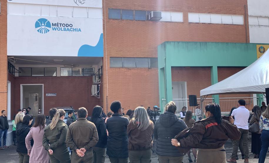 58 milhões de wolbitos devem ajudar Londrina no combate à dengue e arboviroses