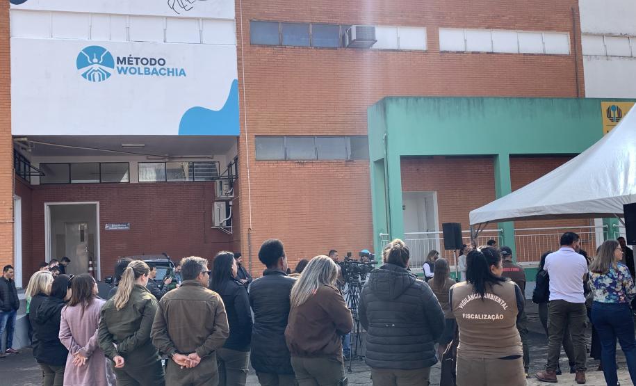 58 milhões de wolbitos devem ajudar Londrina no combate à dengue e arboviroses