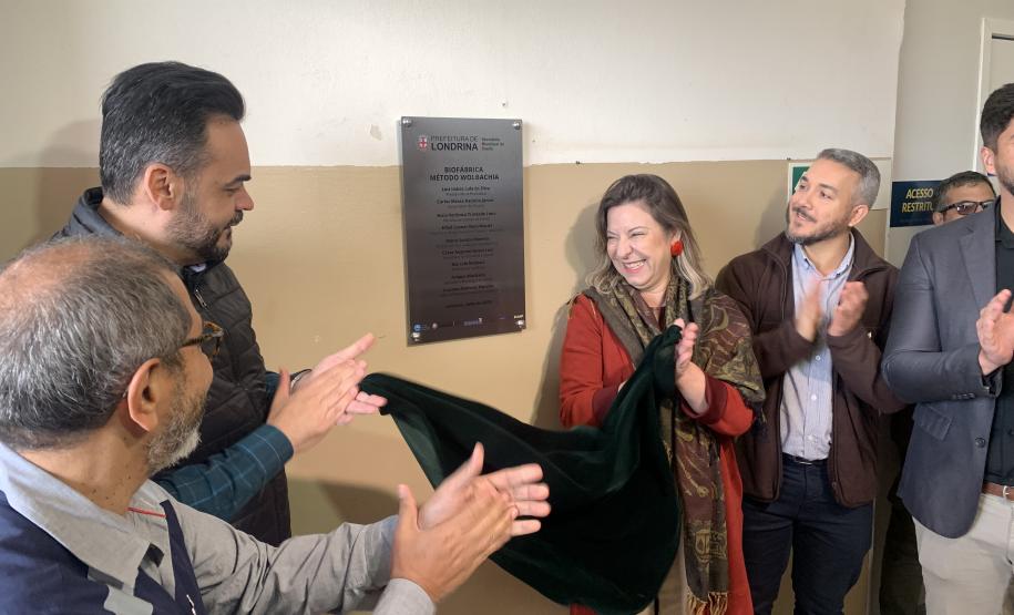 58 milhões de wolbitos devem ajudar Londrina no combate à dengue e arboviroses