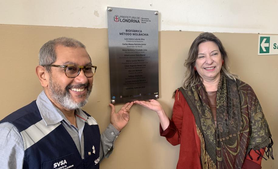 58 milhões de wolbitos devem ajudar Londrina no combate à dengue e arboviroses