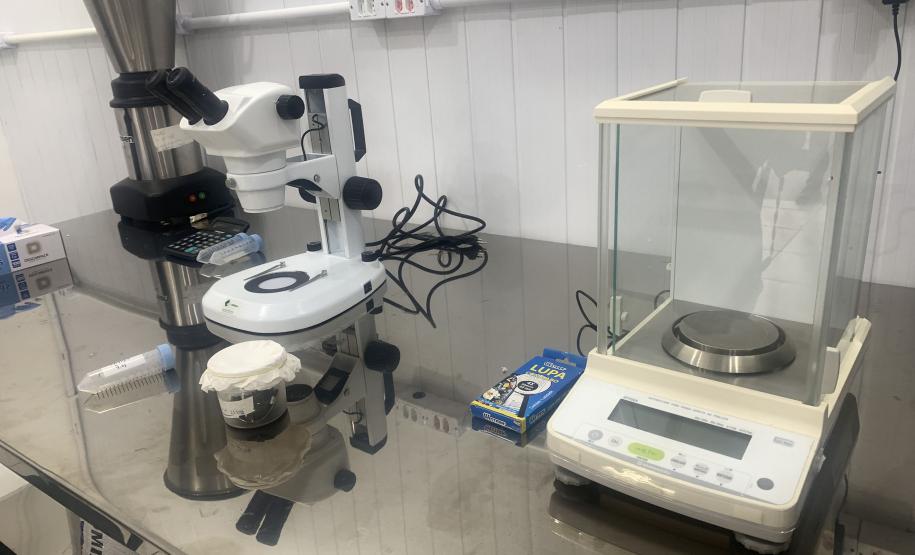 Método Wolbachia: Paraná solta mosquitos na inauguração da biofábrica em Foz do Iguaçu