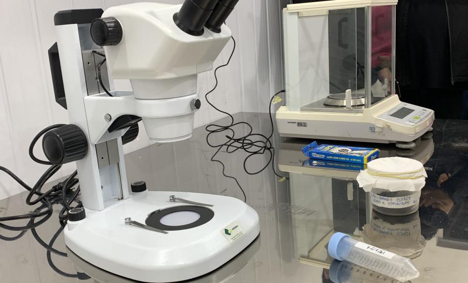 Método Wolbachia: Paraná solta mosquitos na inauguração da biofábrica em Foz do Iguaçu