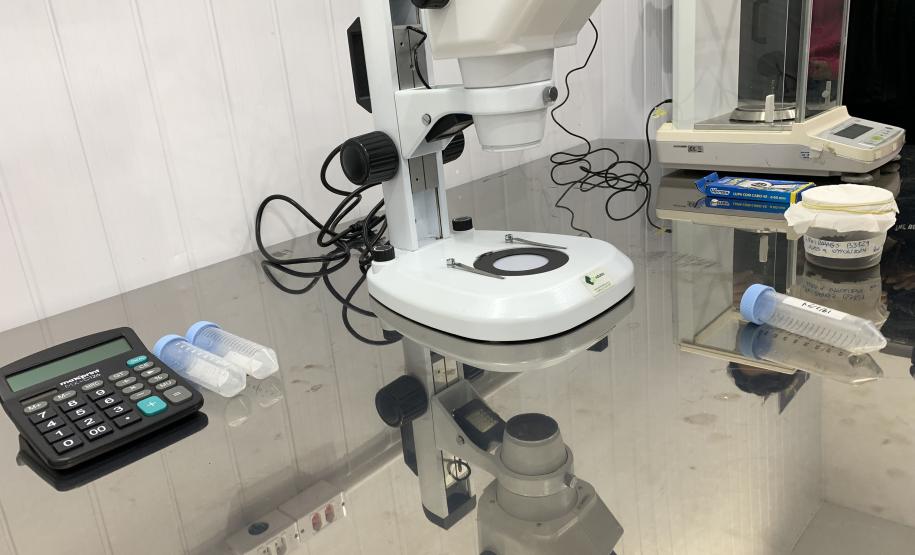 Método Wolbachia: Paraná solta mosquitos na inauguração da biofábrica em Foz do Iguaçu