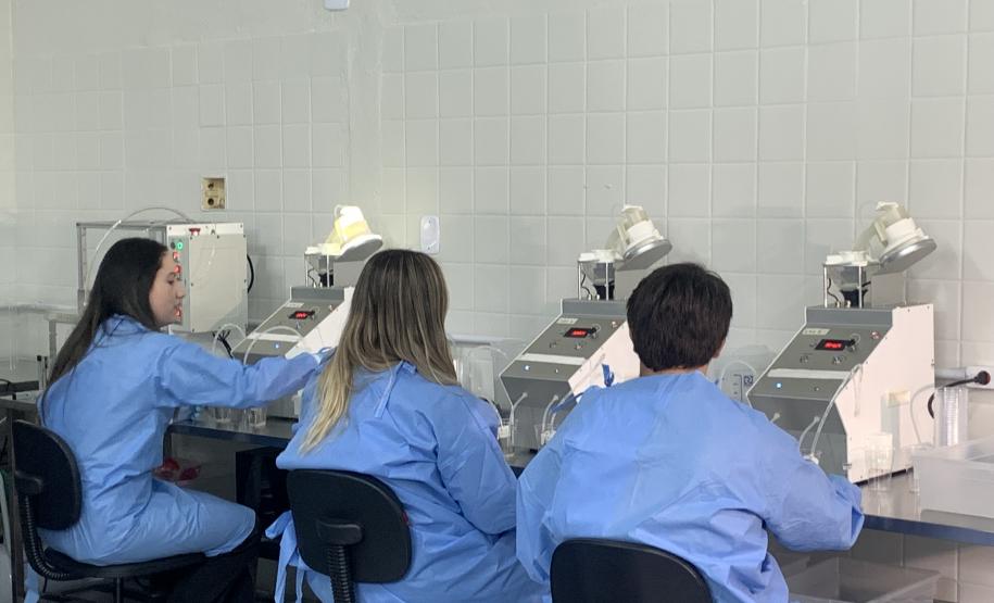 58 milhões de wolbitos devem ajudar Londrina no combate à dengue e arboviroses