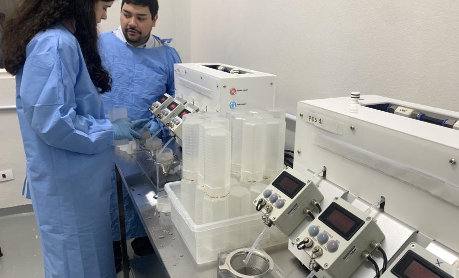 58 milhões de wolbitos devem ajudar Londrina no combate à dengue e arboviroses