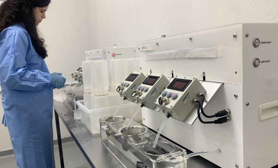 58 milhões de wolbitos devem ajudar Londrina no combate à dengue e arboviroses