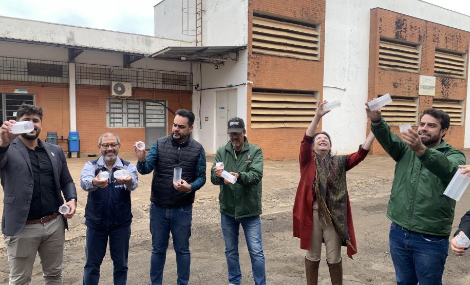 58 milhões de wolbitos devem ajudar Londrina no combate à dengue e arboviroses