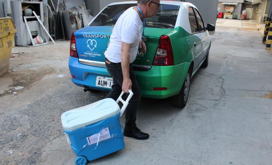 TRANSPLANTES - GERAL