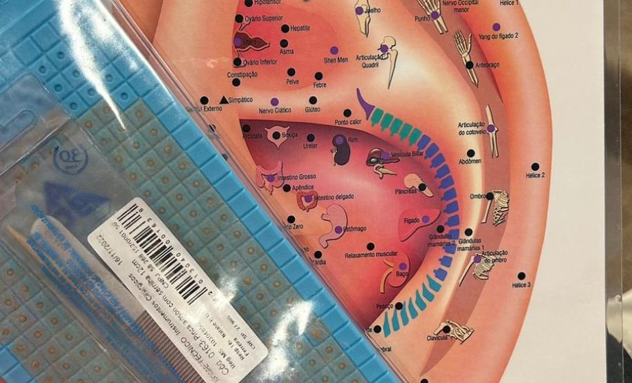 800 profissionais do Paraná vão começar a aplicar auriculoterapia no SUS