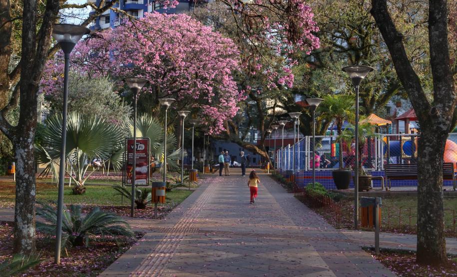 Primavera: Secretaria da Saúde orienta sobre alergias ocasionadas pela nova estação