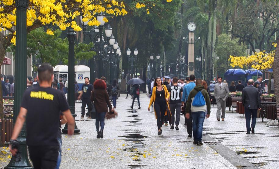 Primavera: Secretaria da Saúde orienta sobre alergias ocasionadas pela nova estação