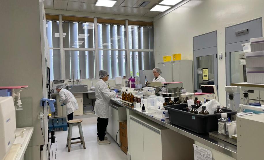 Lacen-PR promove oficina para aprimoramento da vigilância laboratorial