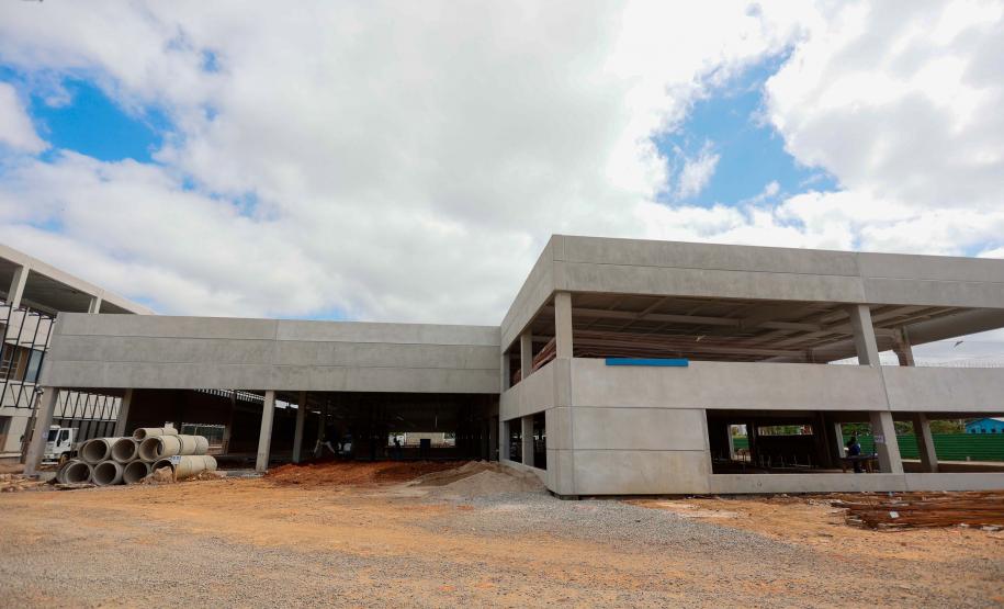 Maior biofábrica do mundo de mosquitos Wolbitos de combate à dengue será em Curitiba