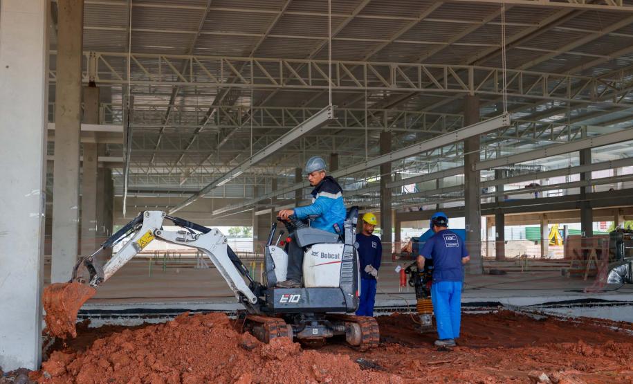 Maior biofábrica do mundo de mosquitos Wolbitos de combate à dengue será em Curitiba