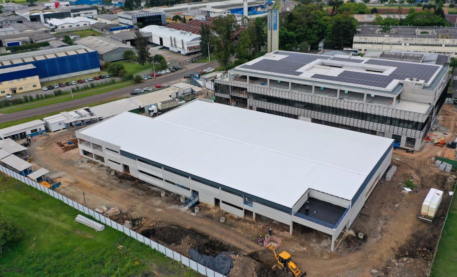 Maior biofábrica do mundo de mosquitos Wolbitos de combate à dengue será em Curitiba