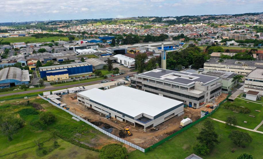 Maior biofábrica do mundo de mosquitos Wolbitos de combate à dengue será em Curitiba