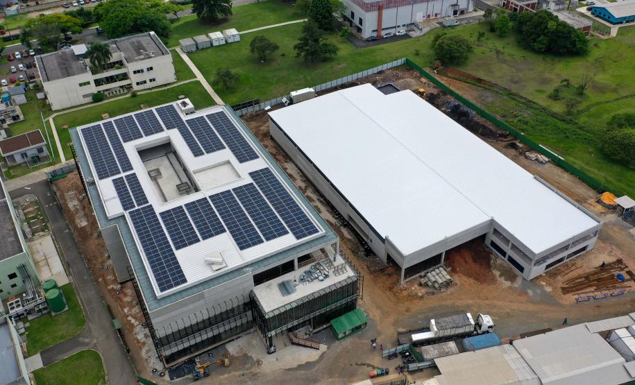 Maior biofábrica do mundo de mosquitos Wolbitos de combate à dengue será em Curitiba