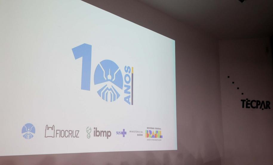 Maior biofábrica do mundo de mosquitos Wolbitos de combate à dengue será em Curitiba