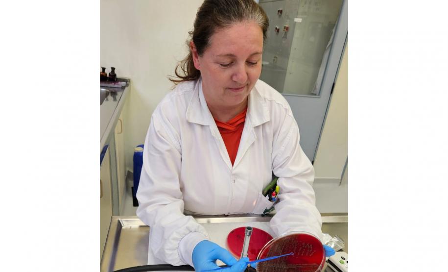 Doenças gastrointestinais: com 389 mil casos neste ano, Saúde alerta para ações de prevenção