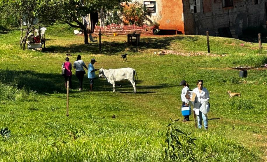 Secretaria da Saúde faz ações de campo para investigação de casos de Febre do Nilo