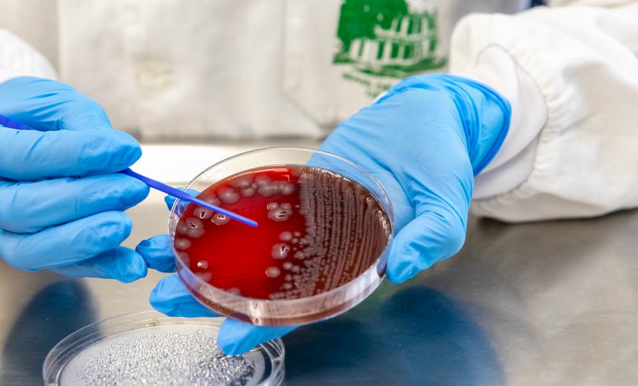 Doenças gastrointestinais: com 389 mil casos neste ano, Saúde alerta para ações de prevenção