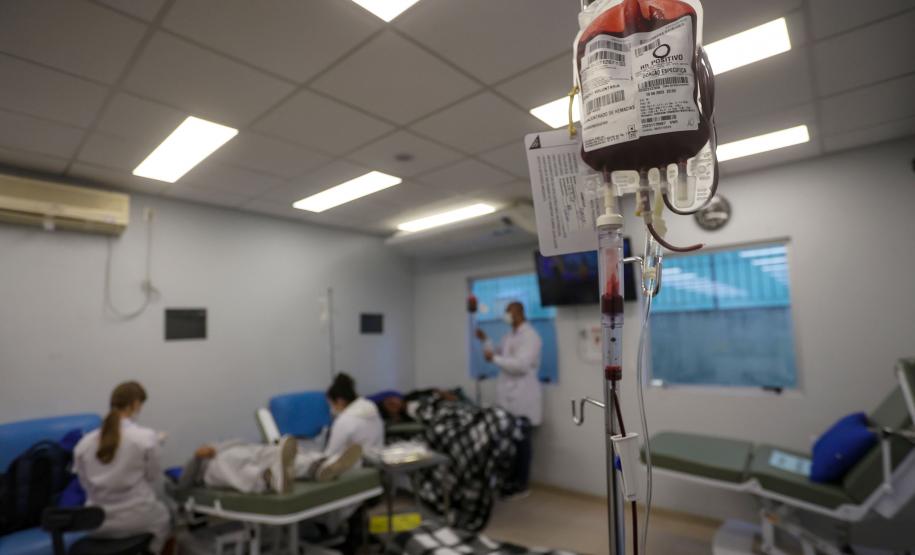 Dia do Doador de Sangue: Hemepar enaltece solidariedade e destaca aumento nas coletas