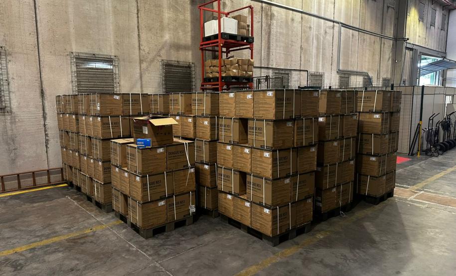 Paraná recebe 359,9 mil testes rápidos de dengue e Sesa organiza distribuição