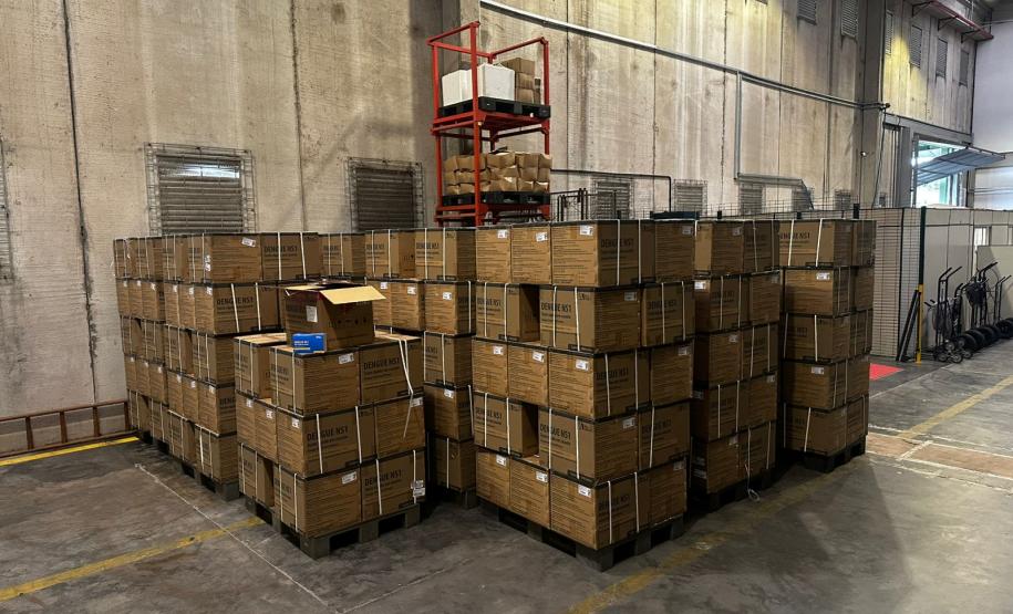 Paraná recebe 359,9 mil testes rápidos de dengue e Sesa organiza distribuição